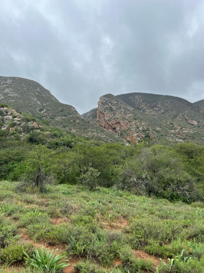 Baviaanskloof Laaste Kamp - Wild Bush Camping Sandvlakte Esterno foto